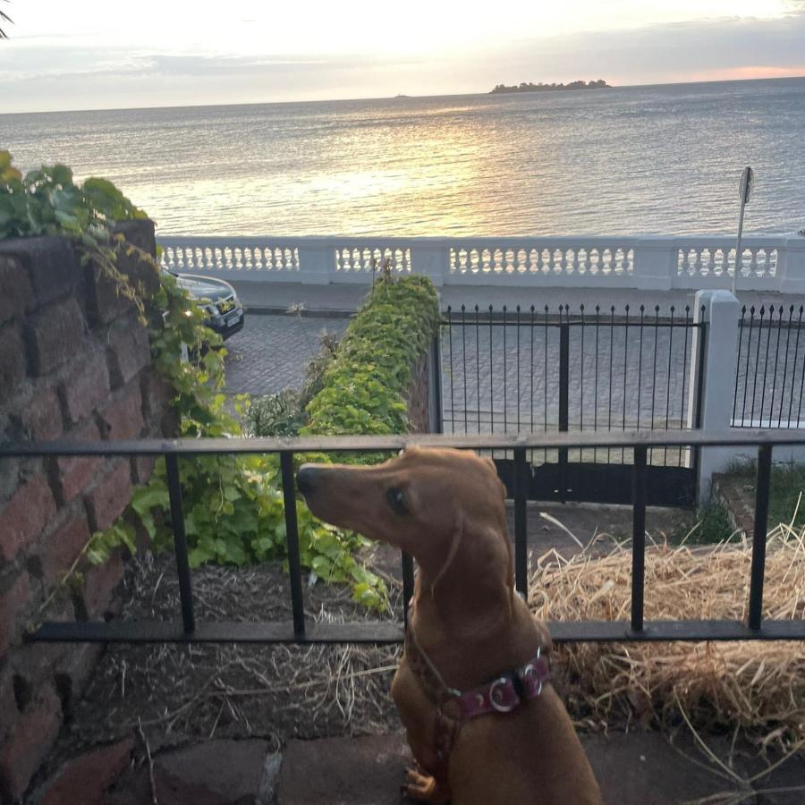 Terraza Sacramento - Atardecer En El Barrio Historico Villa Colonia del Sacramento Exteriör bild